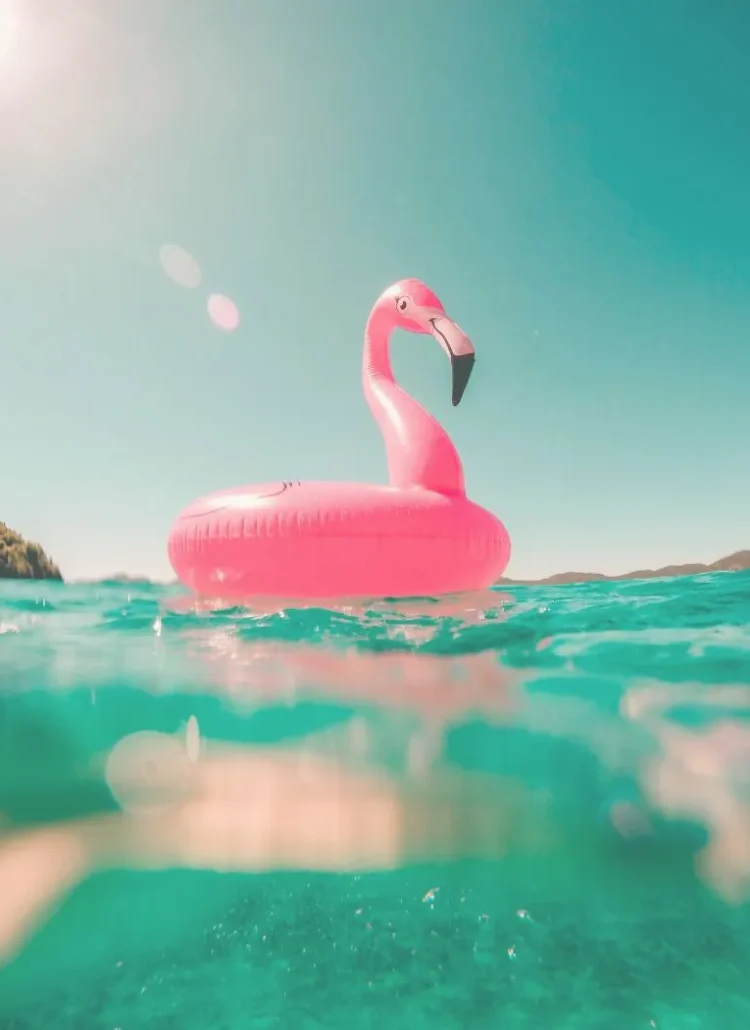 inflated flamingo water balloon on water