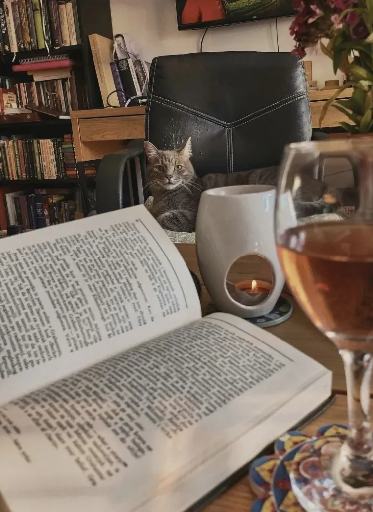 book, glass of wine, candles and cat