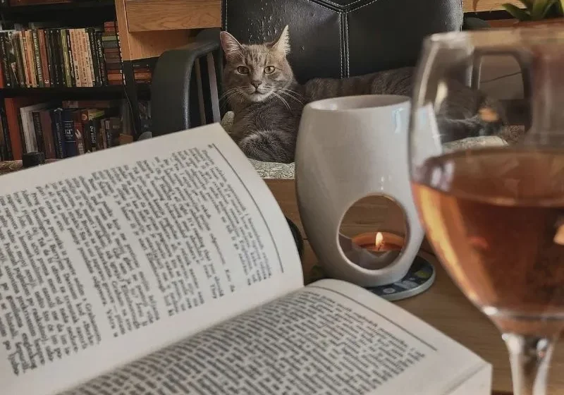 book, glass of wine, candles and cat
