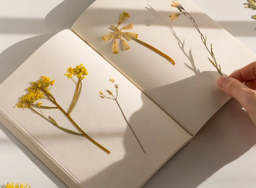 art journaling ideas: yellow dry flowers on a page